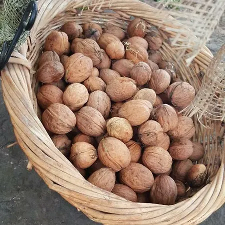 Apartment Apartamentos Villar