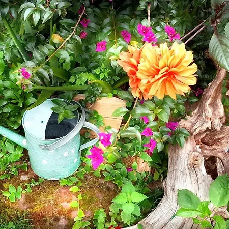 Apartamentos Villar Villar (Villaviciosa)