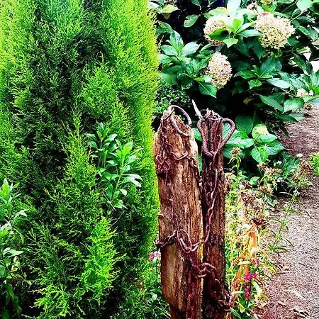 Apartamentos Villar *